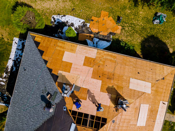 Best Residential Roofing Contractor  in Swanton, OH